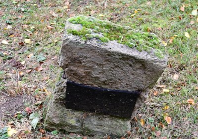 Minice, Omnium, 2020