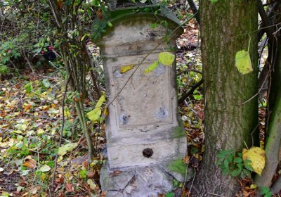 Minice, Omnium, 2020