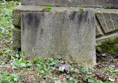 Minice, Omnium, 2020