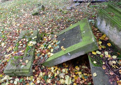 Minice, Omnium, 2020