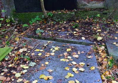 Minice, Omnium, 2020