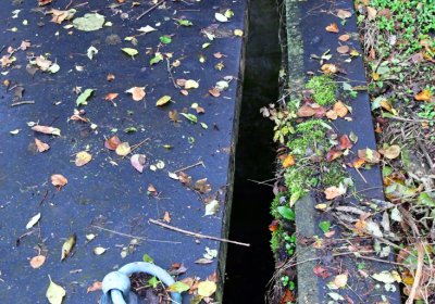 Minice, Omnium, 2020