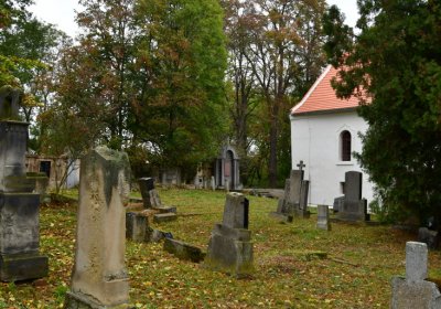 Minice, Omnium, 2020