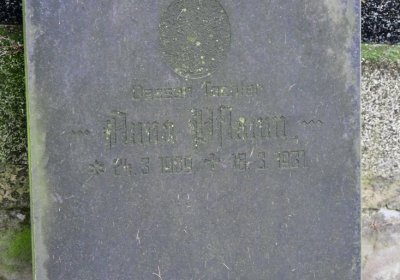 Minice, Omnium, 2020