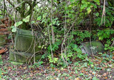 Minice, Omnium, 2020