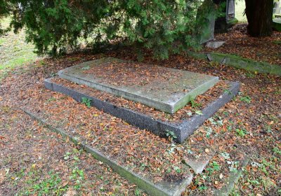 Minice, Omnium, 2020