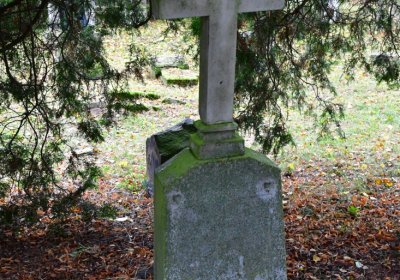 Minice, Omnium, 2020