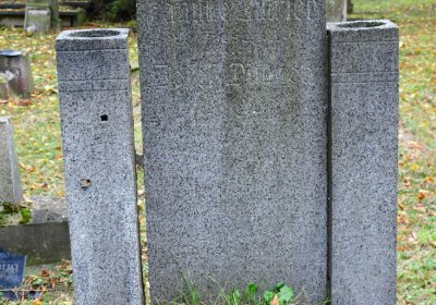 Minice, Omnium, 2020