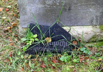 Minice, Omnium, 2020