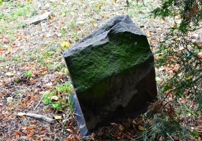 Minice, Omnium, 2020