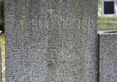 Minice, Omnium, 2020