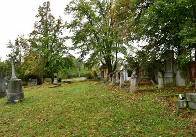 Minice, Omnium, 2020