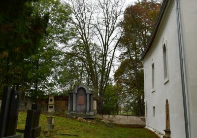 Minice, Omnium, 2020