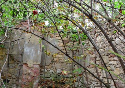 Minice, Omnium, 2020