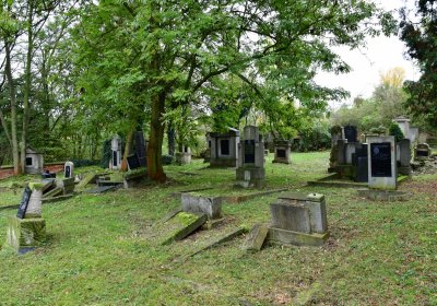 Minice, Omnium, 2020