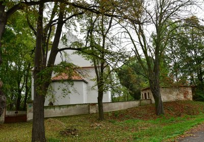 Minice, Omnium, 2020