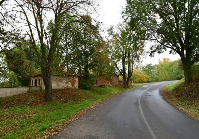 Minice, Omnium, 2020