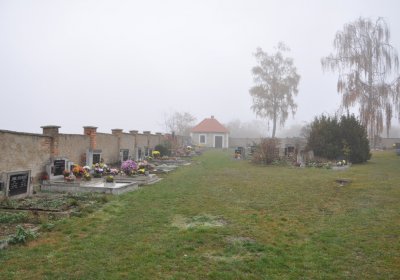 Senkov, Omnium, 2020