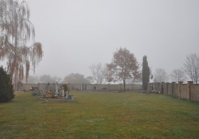 Senkov, Omnium, 2020