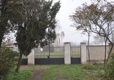 Senkov, Omnium, 2020