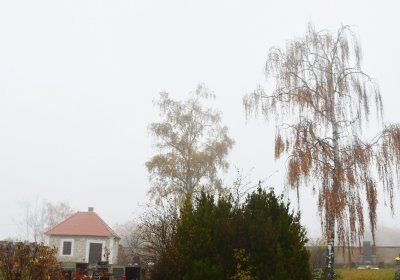 Senkov, Omnium, 2020