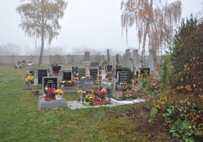 Senkov, Omnium, 2020