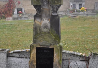 Senkov, Omnium, 2020