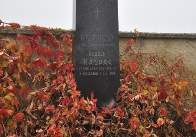 Senkov, Omnium, 2020