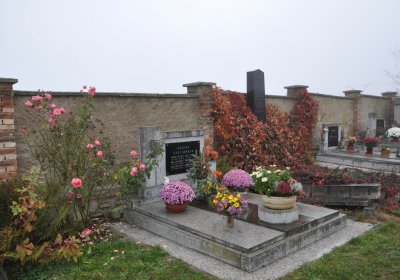 Senkov, Omnium, 2020