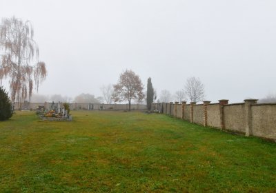 Senkov, Omnium, 2020