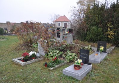 Senkov, Omnium, 2020