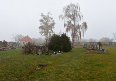 Senkov, Omnium, 2020