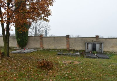 Senkov, Omnium, 2020