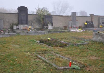 Senkov, Omnium, 2020