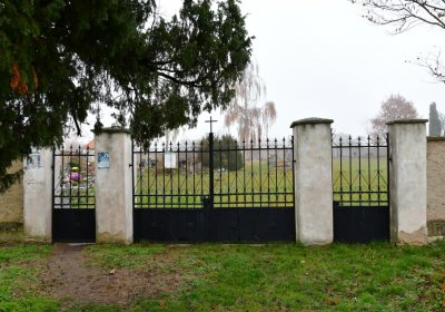 Senkov, Omnium, 2020