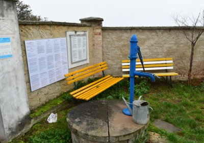 Senkov, Omnium, 2020