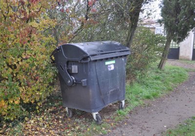 Senkov, Omnium, 2020