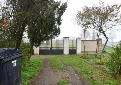 Senkov, Omnium, 2020