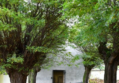 Hořetice, Omnium, 2020