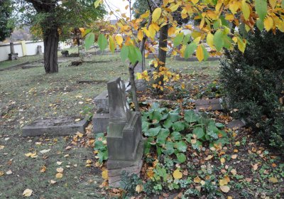 Hořetice, Omnium, 2020