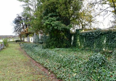 Hořetice, Omnium, 2020