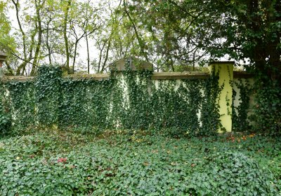 Hořetice, Omnium, 2020