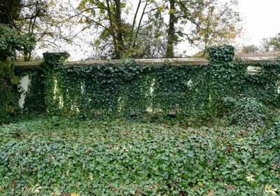 Hořetice, Omnium, 2020