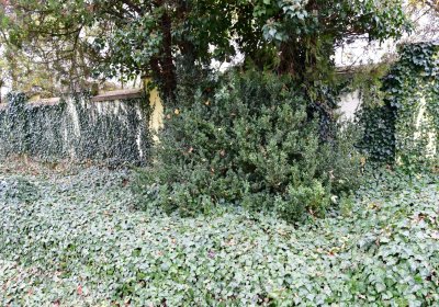 Hořetice, Omnium, 2020