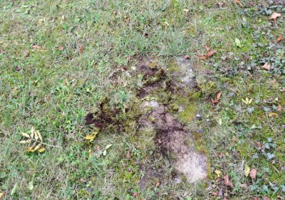 Hořetice, Omnium, 2020