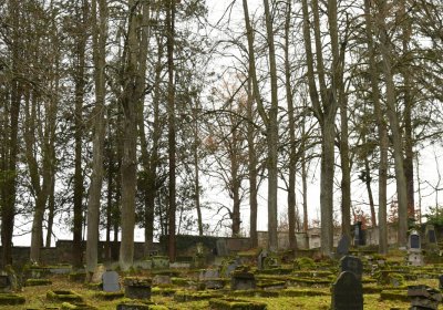 Krásný Buk, Omnium, 2020