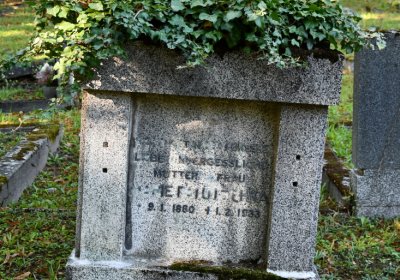 Teplice, Omnium, 2020