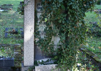 Teplice, Omnium, 2020