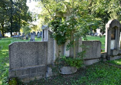 Teplice, Omnium, 2020