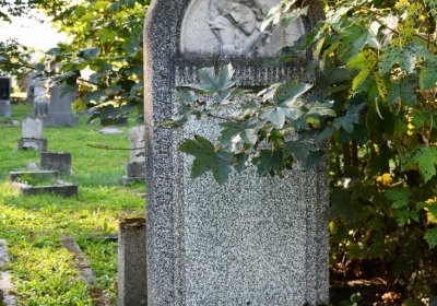 Teplice, Omnium, 2020